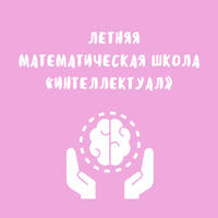 Завершила работу летняя математическая школа «Интеллектуал»