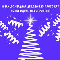 В МУ ДО «Малая академия» проходят новогодние мероприятия!