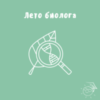 Лето биолога