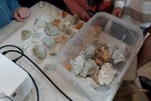 Тайны тяжёлого минерала